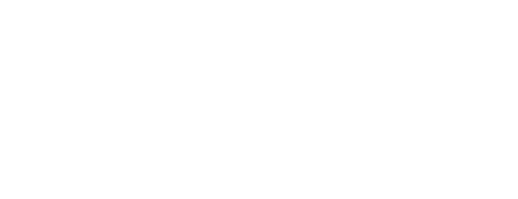 RCC Wales logo invert