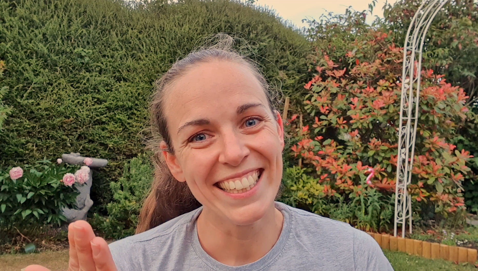 Rainbow Starlings 6 of 8